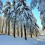 Serenity Skalka & Wellness * كرمنيتسا