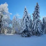 Serenity Skalka & Wellness