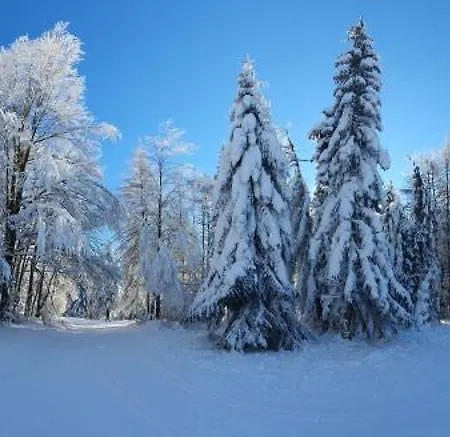 Serenity Skalka & Wellness