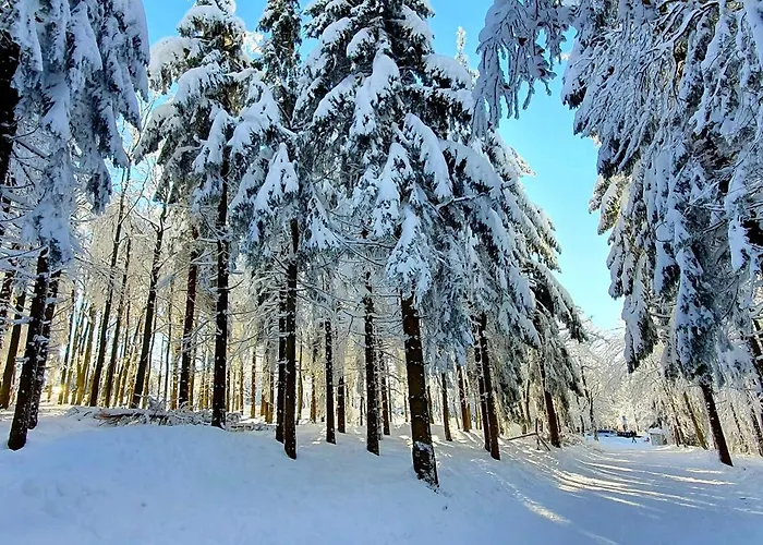 Serenity Skalka & Wellness * Кремница