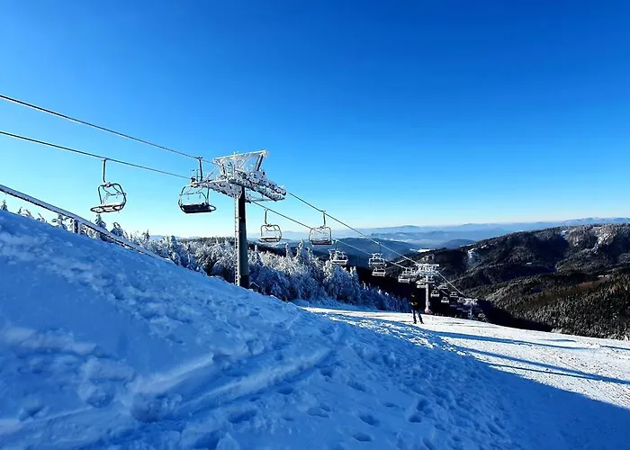 Serenity Skalka & Wellness Alpesi faház *