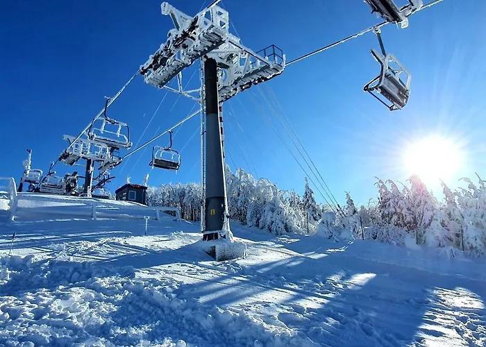 Alpesi faház Serenity Skalka & Wellness *