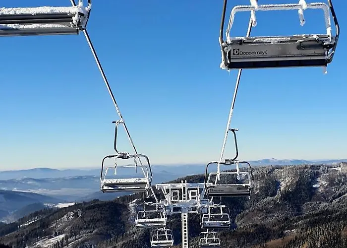 Шале Serenity Skalka & Wellness *