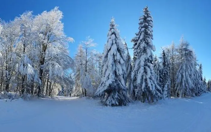 Serenity Skalka & Wellness